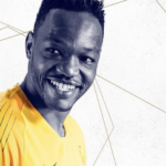 Steve Mandanda e1561365893214